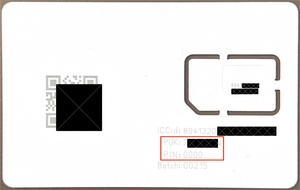 PIN & PUK 1711118622244.pdf
