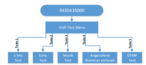 Benutzeranleitung VoIP Test Service 1705477162576.png